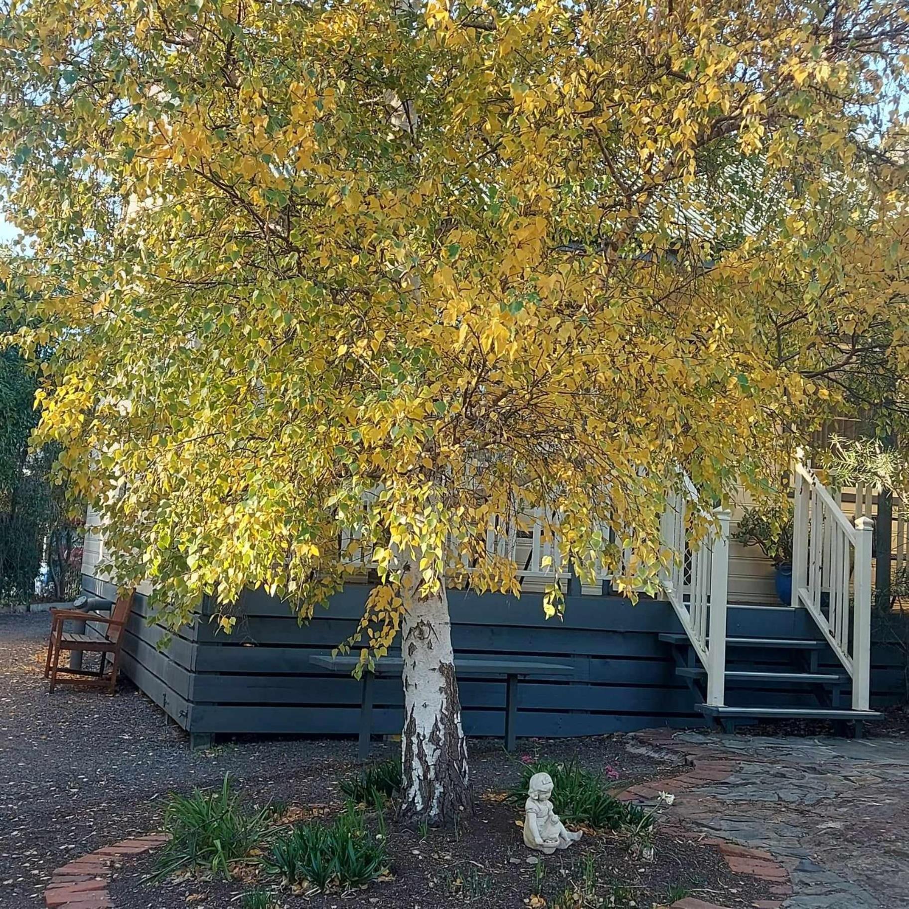 Avoca Cottages Victoria 外观 照片