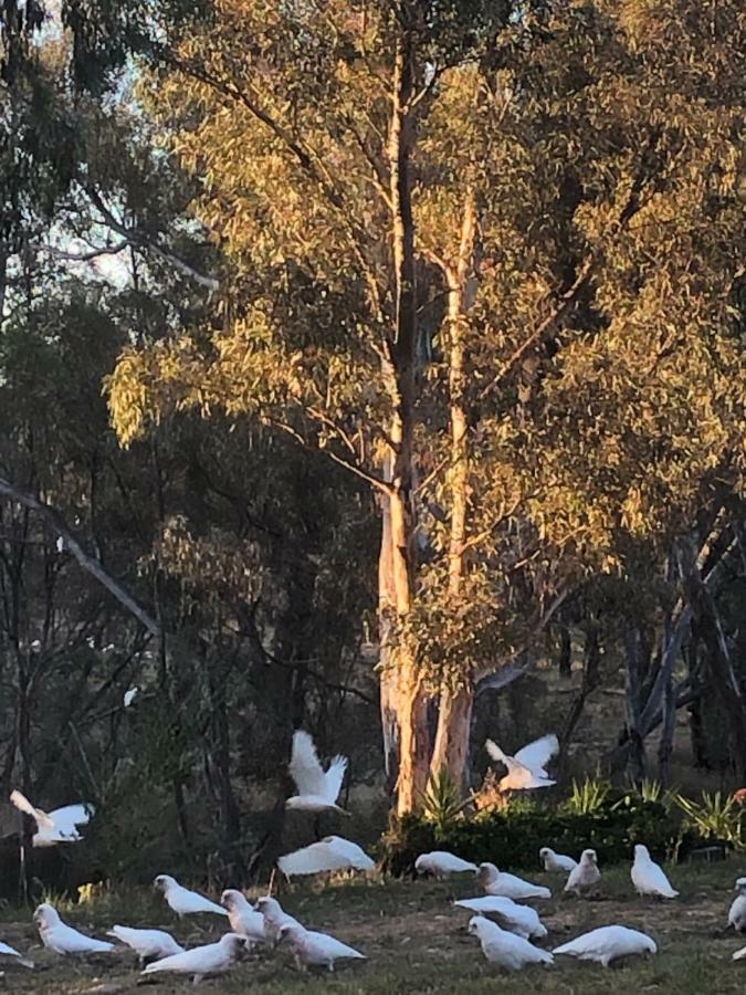 Avoca Cottages Victoria 外观 照片